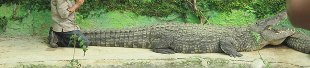 Torremolinos krokodillenpark